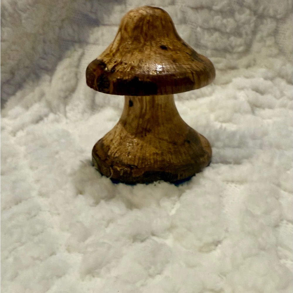 Handmade Wooden Mushroom Decor